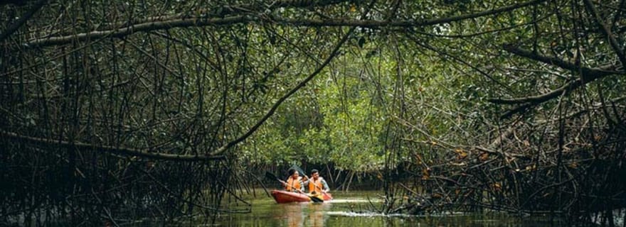 Green treasure: National Mangrove Sanctuary, Tumbes