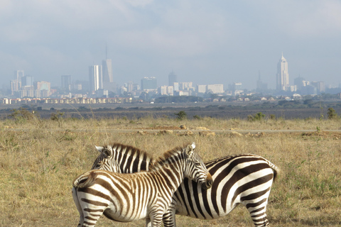 Parco Nazionale di Nairobi Tour per piccoli gruppiTour per piccoli gruppi del Parco Nazionale di Nairobi
