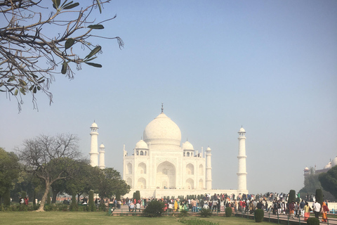 From Delhi: 4-Day Private Golden Triangle Tour with Options Tour with private air-conditioned car and tour guide only