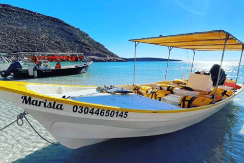 Whale Shark Swim, La Paz, and Todos Santos Day Trip
