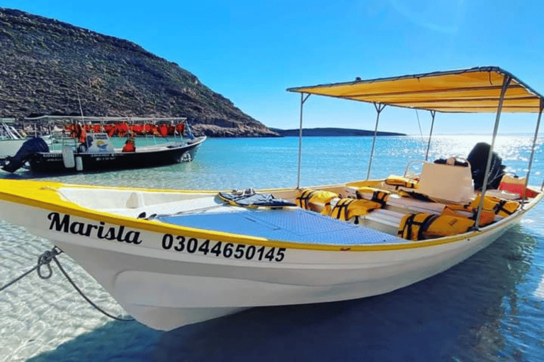 Whale Shark Swim, La Paz, and Todos Santos Day Trip