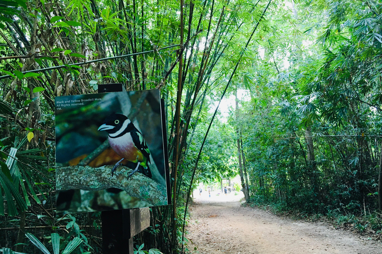 Krabi: Halvdagstur till Smaragdpoolen och vattenfallet Hot Springs