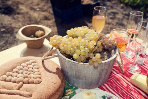 11 天保加利亚、塞尔维亚和北马其顿水疗和文化之旅11天保加利亚、塞尔维亚和北马其顿水疗和文化之旅