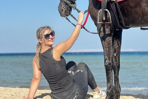 Hurghada: 1 HR Red Sea Swimming with Horses with Transfers Exclusive Family Package – 1 HR with Swimming & Transfers