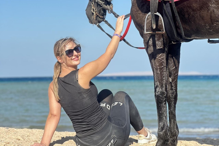 Hurghada: 1 HR Red Sea Swimming with Horses with Transfers Exclusive Family Package – 1 HR with Swimming & Transfers