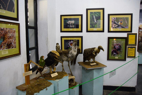 Arusha: Museum of Natural History Guided Tour