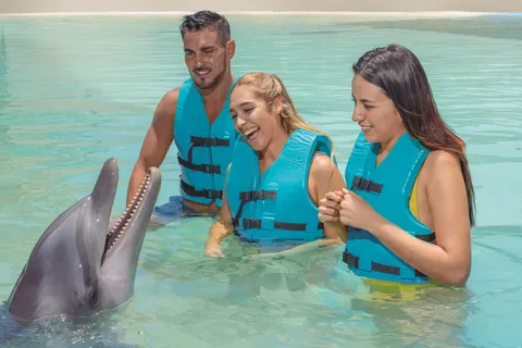 CANCÚN: Experiencia Diamante Delfín con comida y bebidas