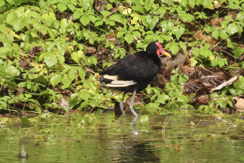 UTV & Horseback Tour with Wildlife Views from Cartagena