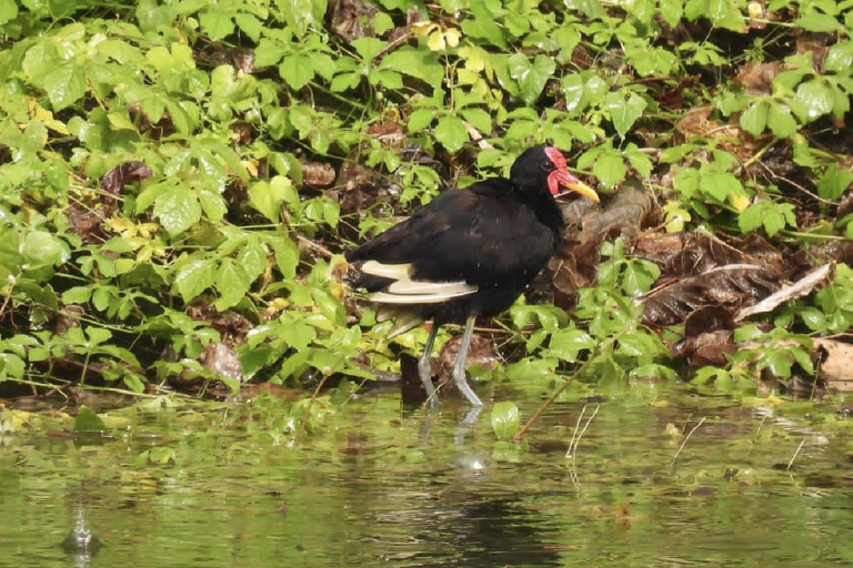 UTV & Horseback Tour with Wildlife Views from Cartagena