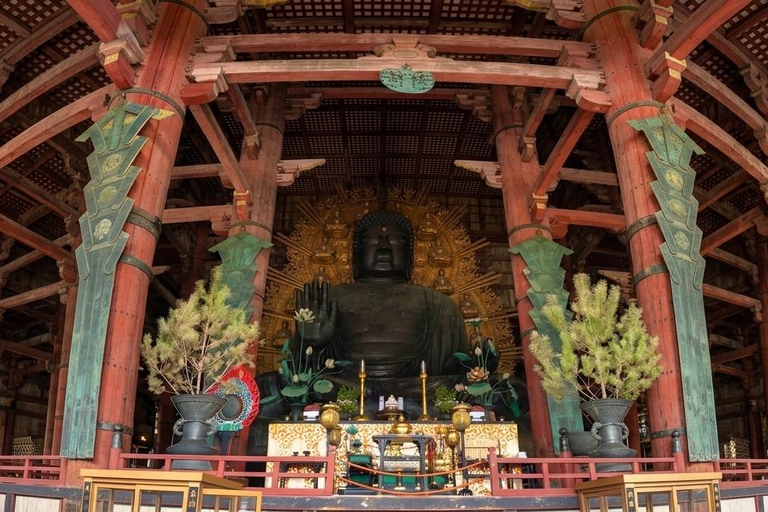 Nara Walking Photo Tour: Todai-ji Temple, Deer & Old Town