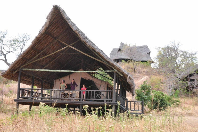 Da Arusha: tour di 2 giorni al Lago Manyara e al cratere di Ngorongoro