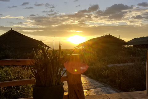Nairobi: 8-Day Big Five, Culture & Photo Safari 8-Day Big Five, Culture & Photo Safari -Budget accommodation