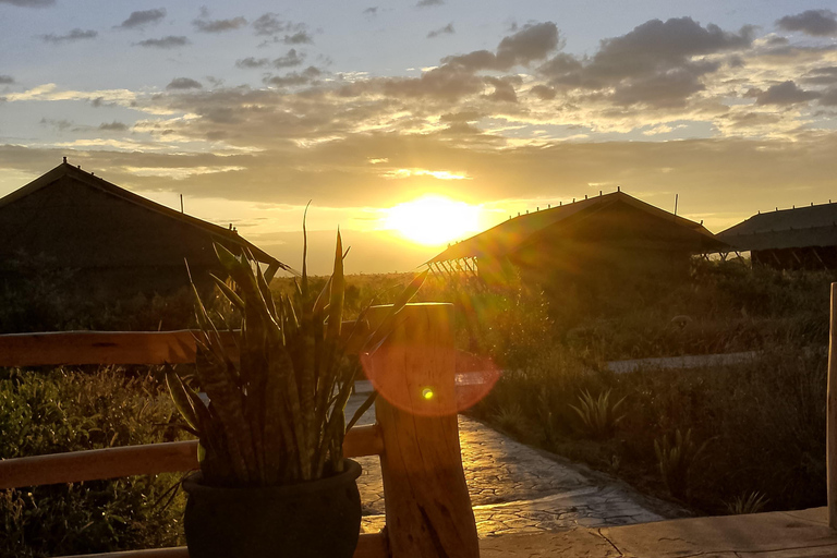 Nairobi: 8-Day Big Five, Culture & Photo Safari 8-Day Big Five, Culture & Photo Safari -Budget accommodation