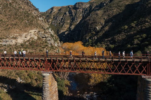 Dunedin: Scenic Railway Tour Through the Taieri Gorge - Image 2