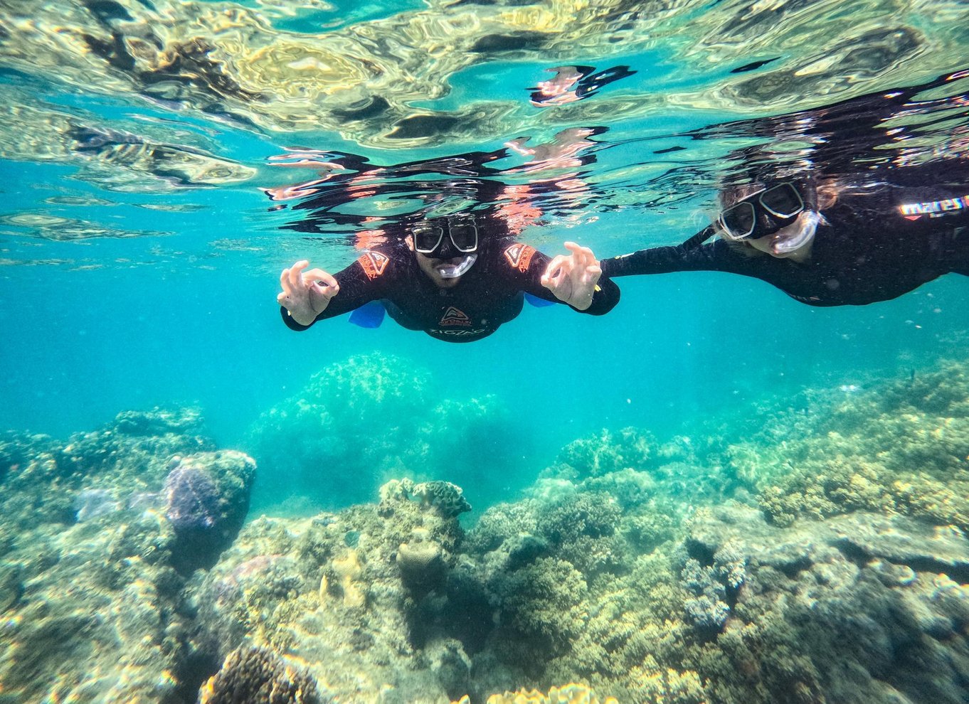 Airlie Beach: Whitehaven & Chalkies Beaches med snorkling