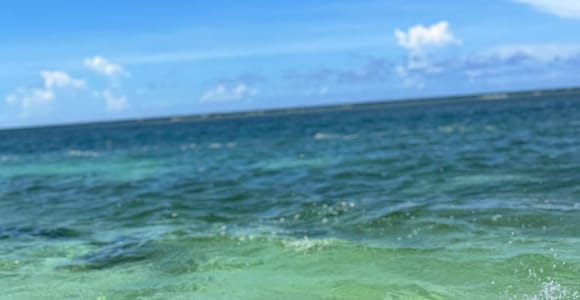 Montego Bay: Jet Car or Jet Ski Experience