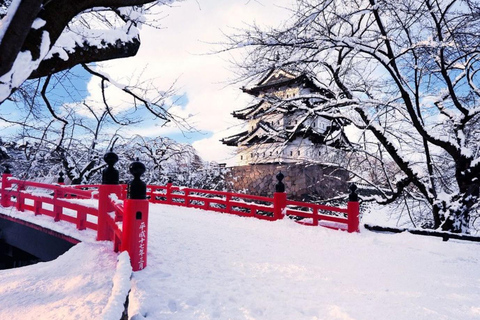 Tokyo: Mt. Fuji One-Day Private Customizable Luxury Tour Tokyo: Mt. Fuji One-Day Private Tour in Luxury Lexus