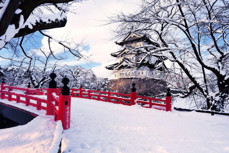 Tokyo: Mt. Fuji One-Day Private Customizable Luxury Tour Tokyo: Mt. Fuji One-Day Private Tour in Luxury Lexus
