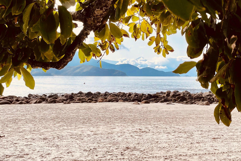 Cairns: Daintree Rainforest & Cape Tribulation Minibus Tour Cairns CBD Hotel Pickup