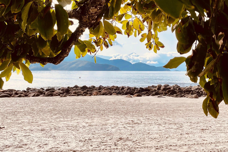 Cairns: Daintree Rainforest & Cape Tribulation Minibus Tour Cairns CBD Hotel Pickup