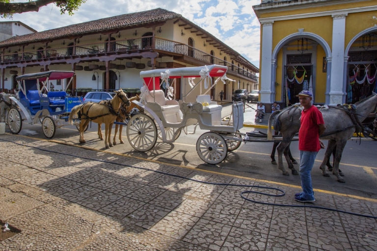 Experience Granadas Best Sights Carriage ride + Local Guide