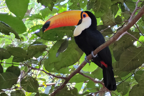 Tour privado de un día por las cataratas de Iguazú: Ambos lados, ¡el mismo día!