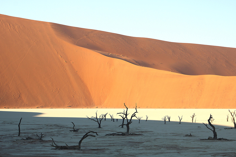 From Windhoek: 15-Day Namibia Highlights Tour with Camping