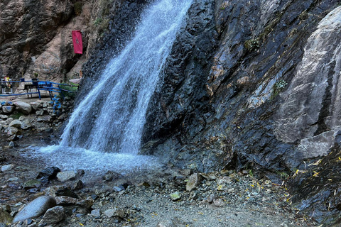 Desde Marrakech: montañas del Atlas, valle de Ourika y paseo en camello