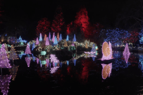 Vancouver : Tour en trolley des lumières de Noël avec karaoké