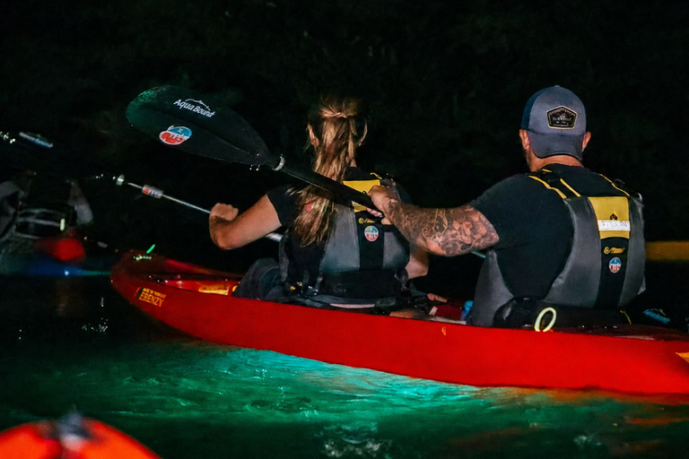 Florida: LED Night Kayak Tour with Comb Jellies Group Tandem Clear Bottom Night Tour