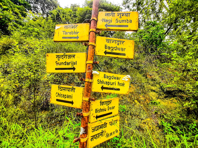 Kathmandu: Shivapuri Hill Day Hike with Lunch box