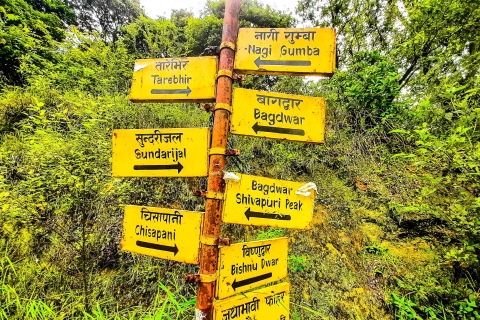 Katmandou : Aventure de randonnée dans le parc national de ShivapuriKatmandou : randonnée dans le parc national de Shivapuri