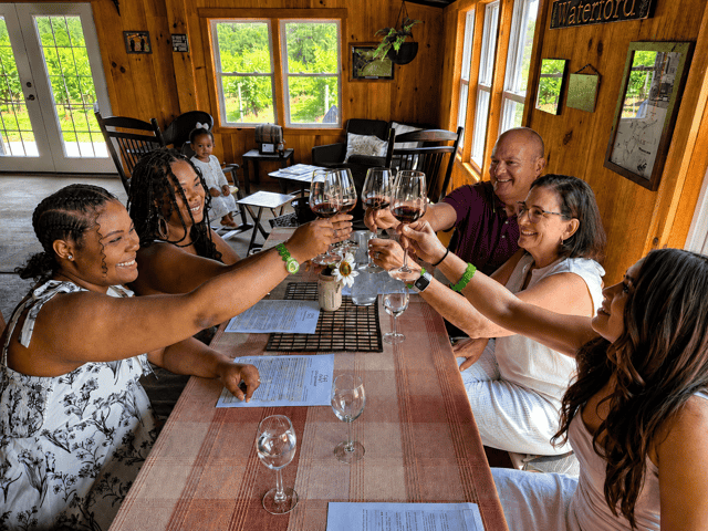 Excursión de día completo a bodegas desde Metro DC y Leesburg: 3 bodegas