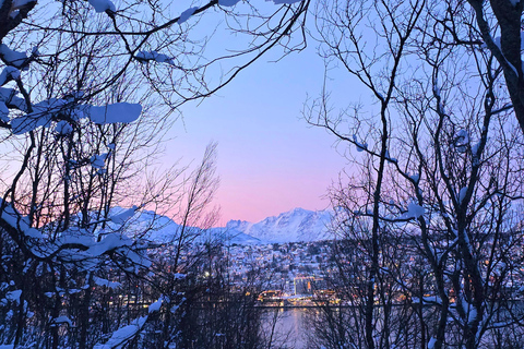 Tromsø: Fjellheisen Local Guided Hike