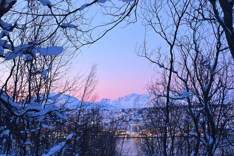Tromsø: Fjellheisen Local Guided Hike