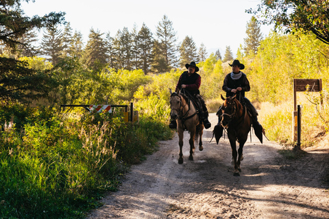 Jackson: Chuck Wagon Cookout and Live Show
