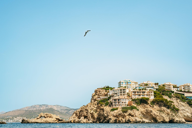 Santa Ponsa: Marine Reserve Kayak Tour Tour with Meeting Point