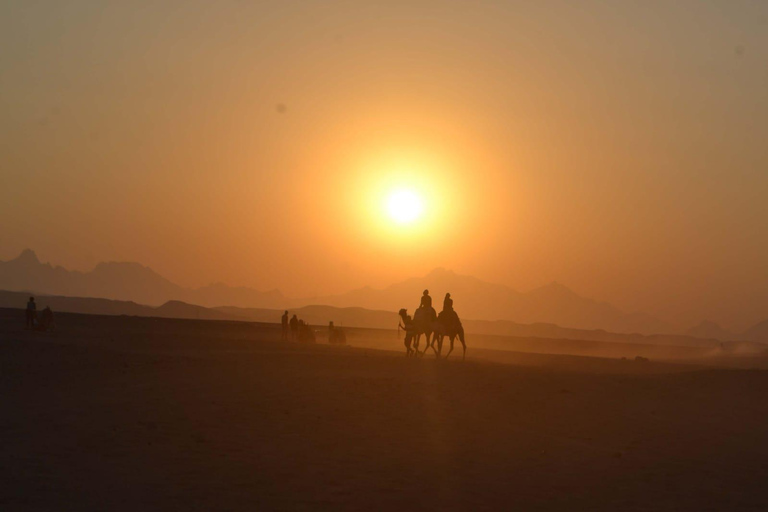 Hurghada: Mega Safari, ATV, 4x4WD Jeep, Camel w/ BBQ & Show Mega Safari (Group Tour)