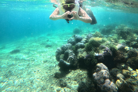 Bali: Komodo Island Day Trip with Flights and Snorkeling