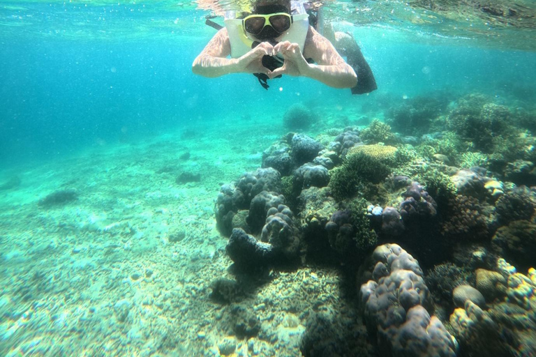 Bali: Komodo Island Day Trip with Flights and Snorkeling