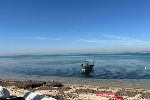 Hammamet in the Spotlight Tour: History, Sea & Wines (All In) Hammamet in All Its Glory: History, Sea & Wine (All-Inclusive)