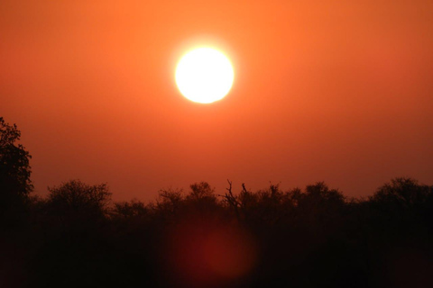 Kruger Park: 5-Day Kruger Park and Manyeleti Safari Tour