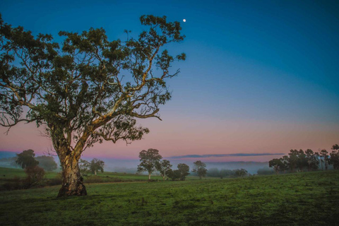 Adelaide Hills : Visite photographique avec café