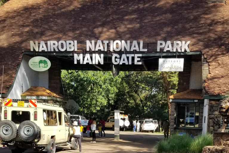 Parc national de Nairobi : visite d&#039;une demi-journée privée