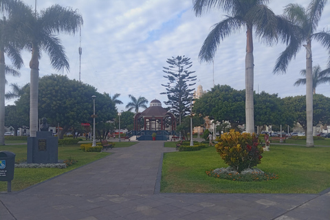 Lima: Food tour with a visit to a local market and tastings.