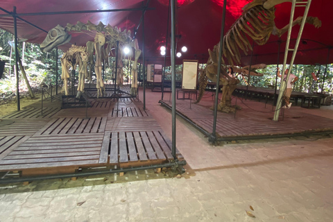 Private tour of the Amazon Museum in Manaus Private Tour at Musa (Amazon Museum) in Manaus