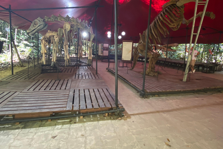 Private tour of the Amazon Museum in Manaus Private Tour at Musa (Amazon Museum) in Manaus