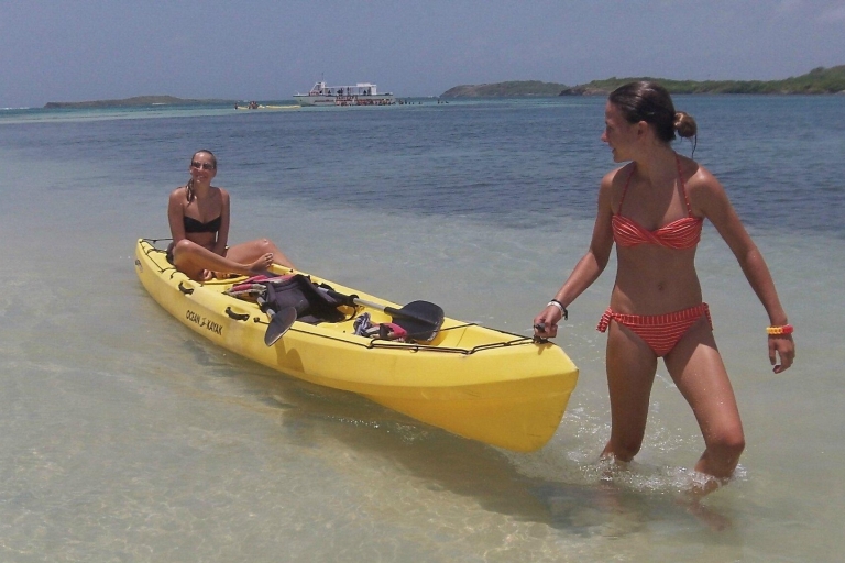 Kayak avec guide