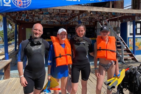 La Romana: Półdniowy kurs nurkowania z odbiorem z hotelu