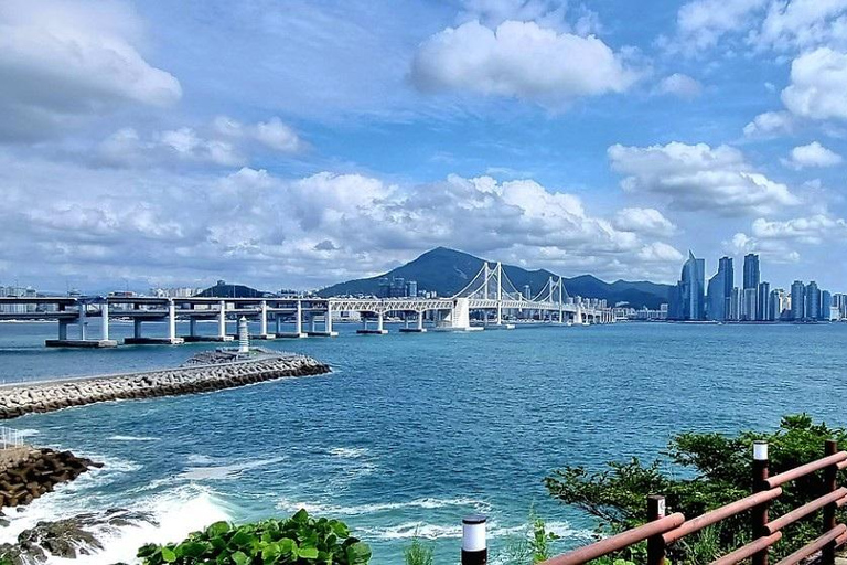 Busan: Private Tour with Songdo Cable Car Option